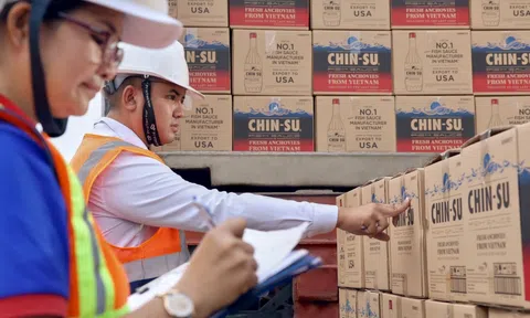 Đẩy mạnh "Go Global", Chin-su phủ sóng thương hiệu trên trường quốc tế