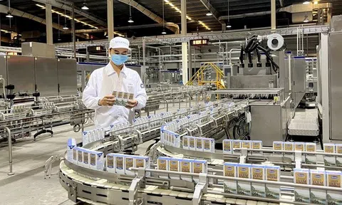 Làm thế nào để doanh nghiệp Việt theo kịp cuộc đua chuyển dịch xanh?