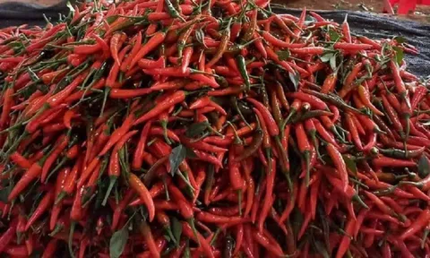 Cảnh bảo nguy cơ dư lượng thuốc bảo vệ thực vật trên nông sản xuất khẩu