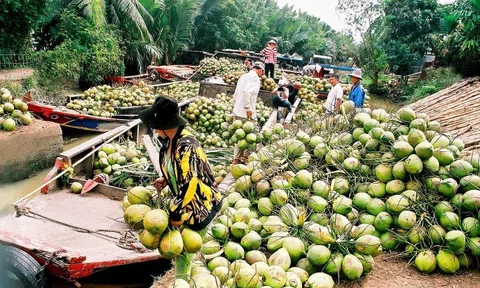 Tăng cường phối hợp để thúc đẩy liên kết vùng trong phát triển thương mại điện tử
