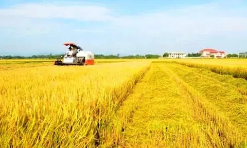 Tăng cường thu hút đầu tư nông nghiệp vùng Đồng bằng sông Cửu Long