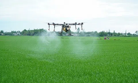 Nhiều khó khăn khi phát triển thuốc bảo vệ thực vật sinh học