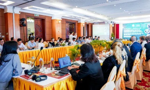 Việt Nam nỗ lực quản lý, bảo vệ và phát triển rừng ngập mặn