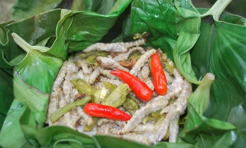 Sâu tre nướng trong ống tre món ăn độc đáo của người Cơ Tu