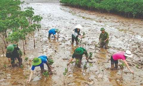 COP28: Ứng phó với biến đổi khí hậu phải thực hiện trên nguyên tắc công bằng