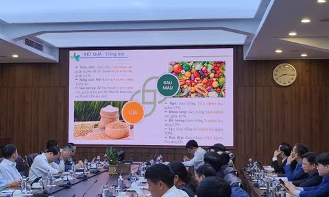 Xuất khẩu gạo lần đầu tiên đạt trên 4 tỷ USD, rau quả đạt kỷ lục 5,32 tỷ USD