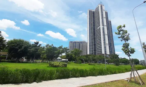 Tọa độ mới cho sự phát triển bất động sản