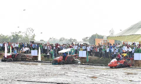 Phát động thực hiện Đề án phát triển 1 triệu ha chuyên canh lúa chất lượng cao