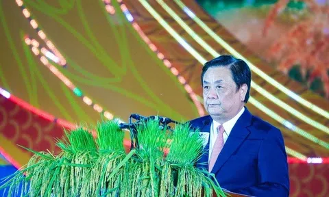 Khai mạc Festival quốc tế ngành hàng lúa gạo Việt Nam - Hậu Giang 2023