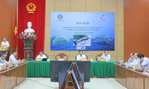 Xuất khẩu cá tra ước đạt 1,8 tỷ USD trong năm 2023