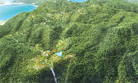 Lần đầu tiên Việt Nam bán tín chỉ các-bon rừng thu về 51,5 triệu USD (tương đương 1.250 tỉ đồng)