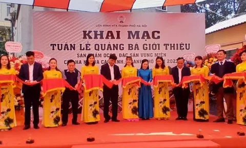 Hà Nội: Khai mạc “Tuần lễ quảng bá, giới thiệu sản phẩm OCOP, đặc sản vùng miền"