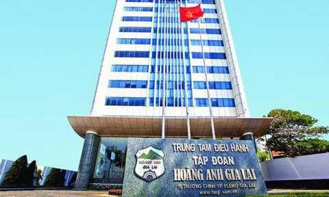 Hoàng Anh Gia Lai (HAG) thoái vốn khỏi Bapi HAGL