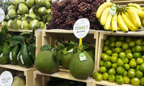 Xuất khẩu nông sản là nhóm hàng có nhiều điểm sáng trong năm 2023