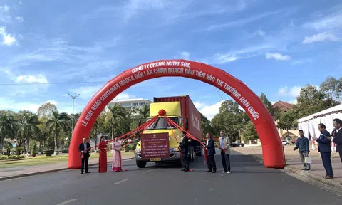 Đắk Lắk xuất khẩu container macca đầu tiên sang thị trường Hàn Quốc