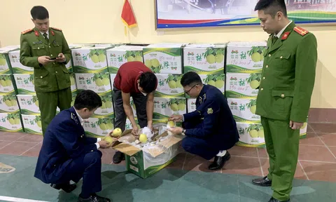 Thái Nguyên: Phát hiện phương tiện vận chuyển hơn 1 tấn hoa quả nhập lậu