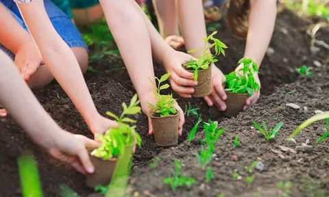 Hơn 760 triệu cây xanh được trồng, cả nước có thêm 212.373 ha rừng tập trung