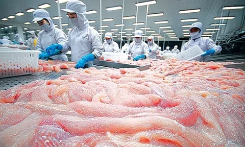 Tăng cường xây dựng thương hiệu cá tra để đạt mục tiêu kim ngạch xuất khẩu 2 tỷ USD năm 2024