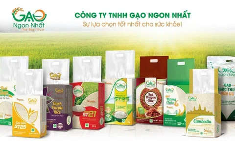 Gạo Ngon Nhất - Mang hạt vươn xa, trong và ngoài nước