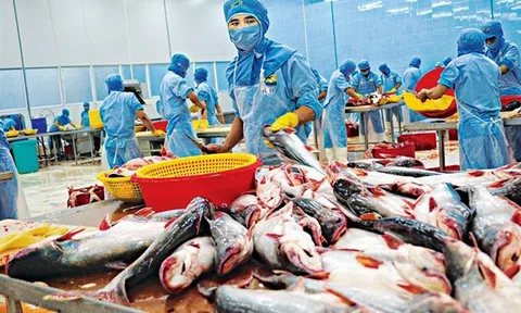 Chương trình cho vay 15.000 tỷ đồng đối với lĩnh vực lâm sản, thủy sản đã giải ngân hoàn thành 100%