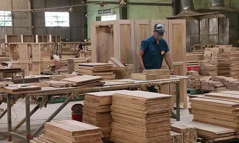 Nhiều tín hiệu tích cực trong xuất khẩu nhưng ngành gỗ vẫn đối mặt với khó khăn