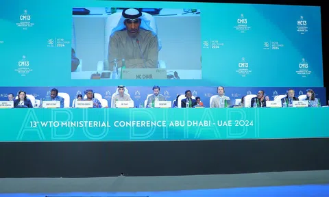 Việt Nam đề xuất nhiều giải pháp thúc đẩy thương mại bền vững trong WTO