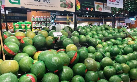 Hoa Kỳ là thị trường xuất khẩu lớn nhất của Việt Nam trong 2 tháng đầu năm