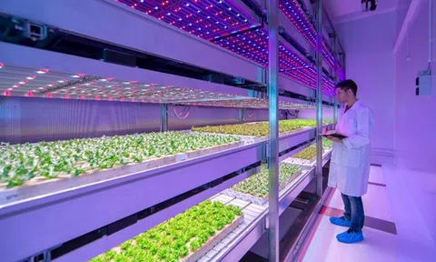 Tổng quan về kỹ thuật chiếu sáng trong nông nghiệp