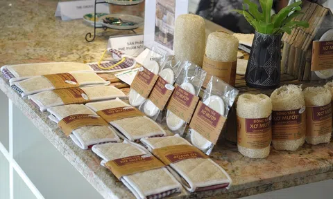 Phát động cuộc thi Dự án khởi nghiệp xanh lần thứ 10/2024