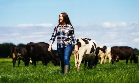 Triển vọng xuất khẩu sản phẩm sữa của Ireland sang Việt Nam