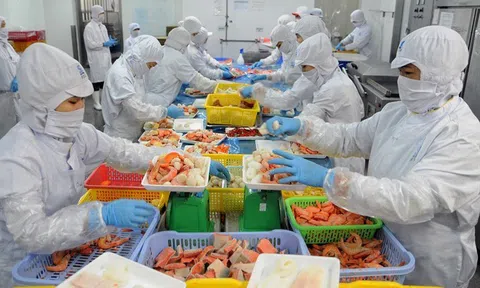Nghị đinh số 15 giúp giảm áp lực và gánh nặng chi phí cho doanh nghiệp ngành thực phẩm