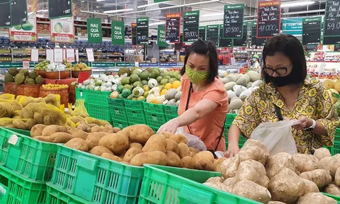 Chỉ số giá tiêu dùng tháng 3/2024 giảm 0,23%