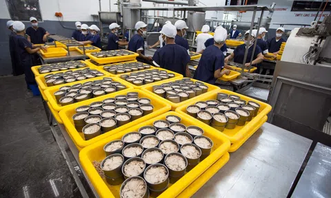 Xuất khẩu cá ngừ sang Canada tiếp tục đà tăng trưởng