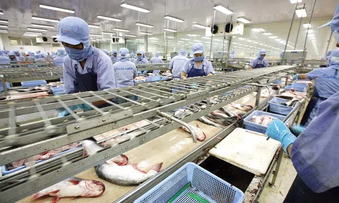 Xuất khẩu thủy sản sang thị trường Mỹ bứt phá trong ba tháng đầu năm