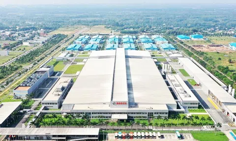 Sự tăng trưởng kinh tế của Việt Nam củng cố sự lạc quan của doanh nghiệp EuroCham