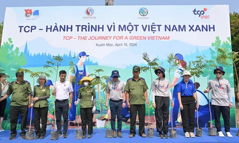 Chương trình “TCP - Hành trình vì một Việt Nam xanh”, chung sức trồng 2.700 cây xanh tại tỉnh Bà Rịa - Vũng Tàu