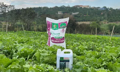 Triết lý làm nông nghiệp thuận tự nhiên hướng đi bền vững cho tăng trưởng xanh