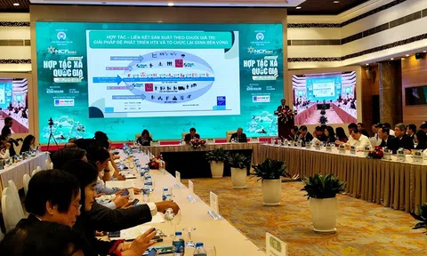 Phát triển Hợp tác xã sẽ giúp thúc đẩy sản xuất theo chuỗi giá trị