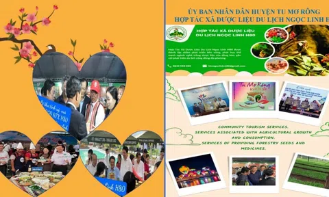 Tầm nhìn và tiềm năng của HTX dược liệu du lịch Ngọc Linh