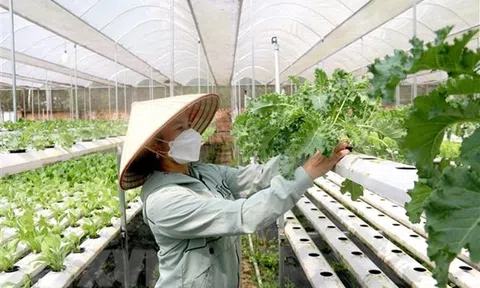 Thúc đẩy doanh nghiệp do nữ làm chủ tiếp cận chuỗi cung ứng