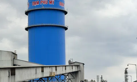 Kỷ niệm 20 năm Ngày thành lập Nhà máy Đạm Phú Mỹ (21/4/2004-21/4/2024)