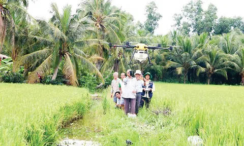 Tiền Giang đẩy mạnh chuyển đổi số trong nông nghiệp