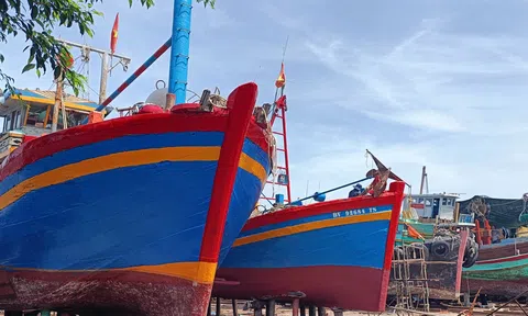 Nhiều tàu cá không thể ra khơi vì giấy phép khai thác mới