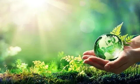 Phát triển bền vững là xu hướng tất yếu trong dài hạn của doanh nghiệp