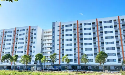 Tính cấp thiết của giải pháp nhà ở bền vững Việt Nam 2024