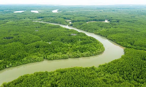 Du lịch xanh gắn với phát triển bền vững trong bối cảnh toàn cầu hoá