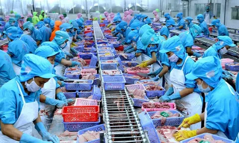 VASEP kiến nghị nhiều giải pháp tháo gỡ khó khăn cho ngành thủy sản