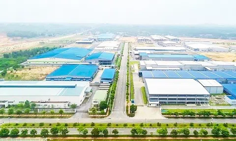 Hướng tới mục tiêu Net Zero: Cần đổi mới cách tiếp cận trong sản xuất thông minh và bền vững