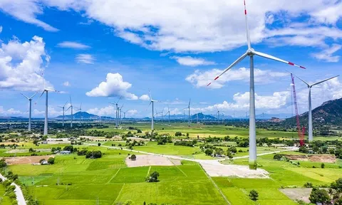 Đầu tư cho môi trường là đầu tư cho phát triển bền vững