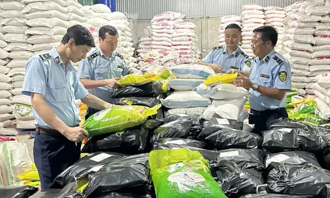 Bắc Ninh: Phát hiện cơ sở sản xuất gạo ST25 giả mạo nhãn hàng hóa và bao bì “Gạo Ông Cua”